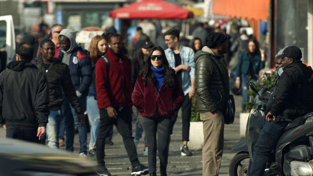 Rosa pietra stella Foto