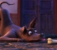Coco Foto 6