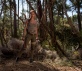 Tomb Raider Foto 2