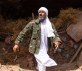 Io, Dio e Bin Laden Foto 1