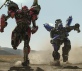 Bumblebee Foto 3