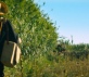 Van Gogh - Sulla soglia dell'eternità Foto 12
