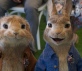 Peter Rabbit 2: Un birbante in fuga Foto 9