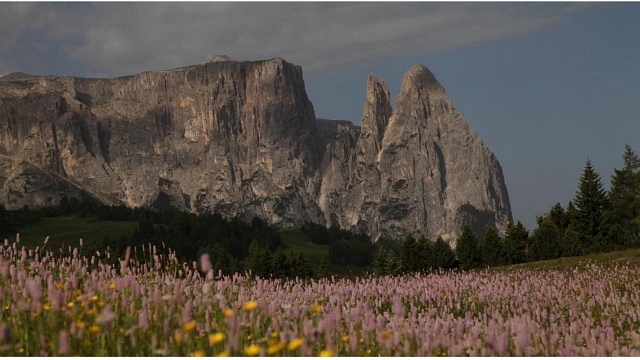 Wild Italia