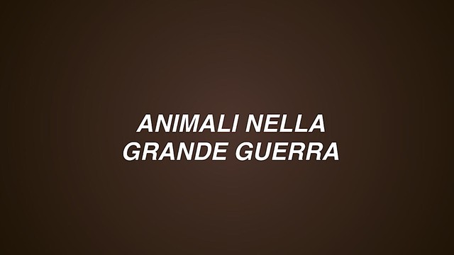 Animali nella Grande Guerra
