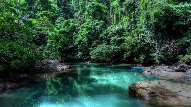 Wild Costa Rica