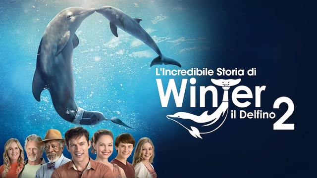 L'incredibile storia di Winter il delfino 2