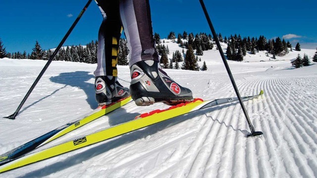 Sci alpino: Mondiale