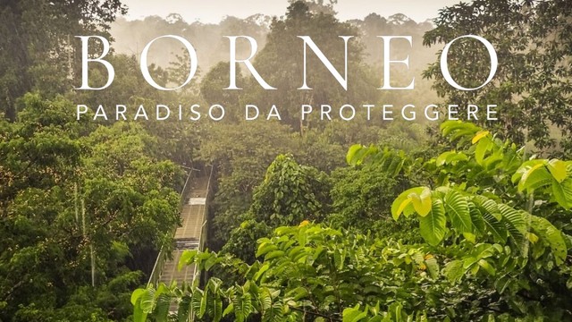 Borneo: paradiso da proteggere