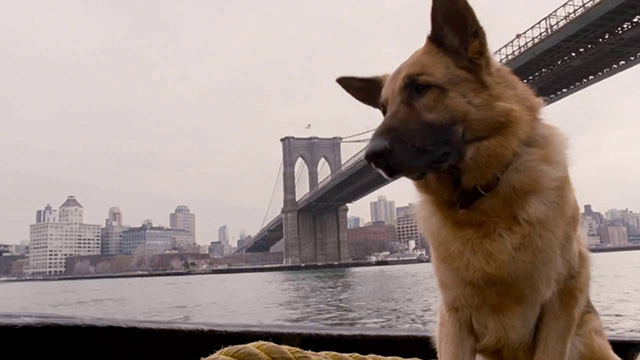 Cool Dog - Rin Tin Tin a New York