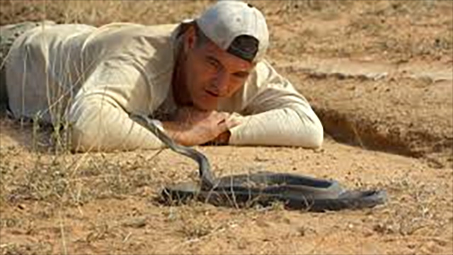 Wild Frank Black Mamba