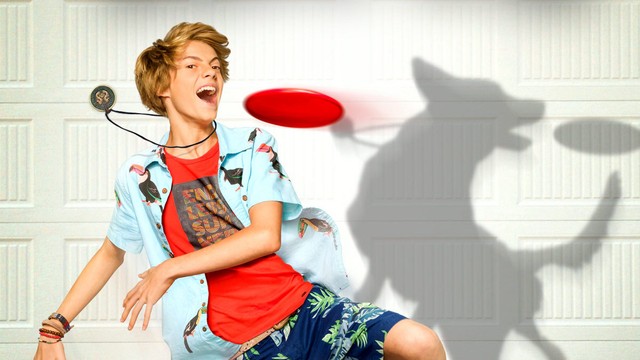 Il mio amico è una bestia