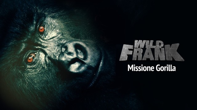 Wild Frank: missione gorilla