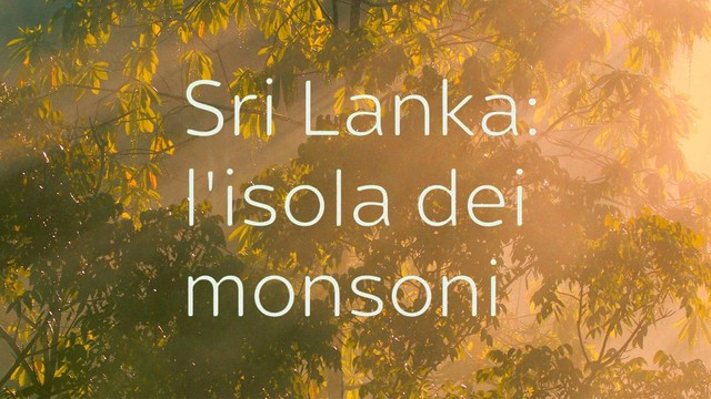 Sri Lanka: L'isola dei monsoni