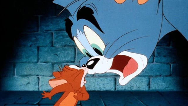 Tom & Jerry: The fast and the furry