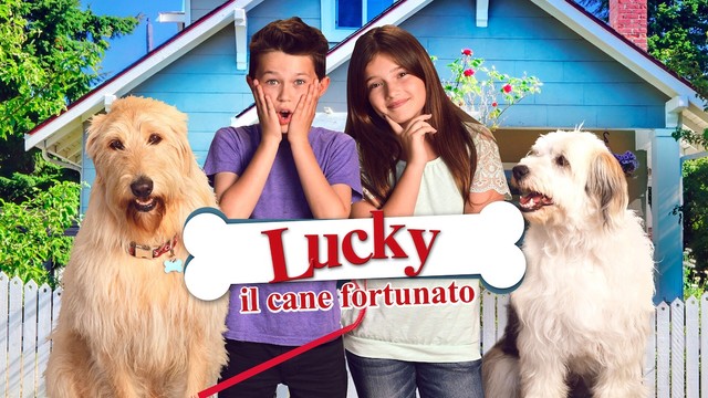 Lucky - Il cane fortunato