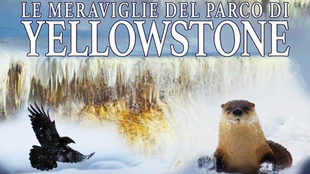 Le meraviglie del parco di Yellowstone
