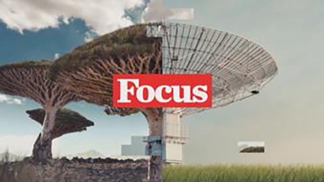 Focus natura - Un mondo perfetto
