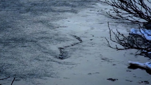 River Monsters: la leggenda di Loch Ness