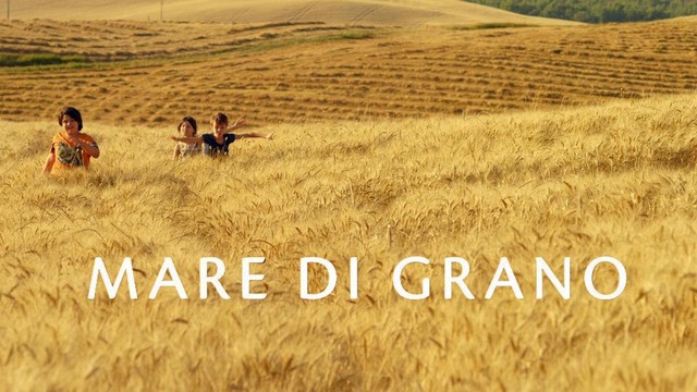 Mare di grano