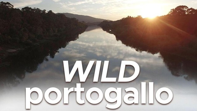 Wild Portogallo