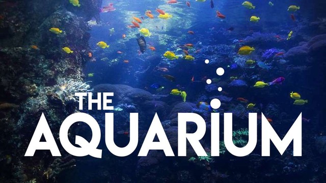 The Aquarium