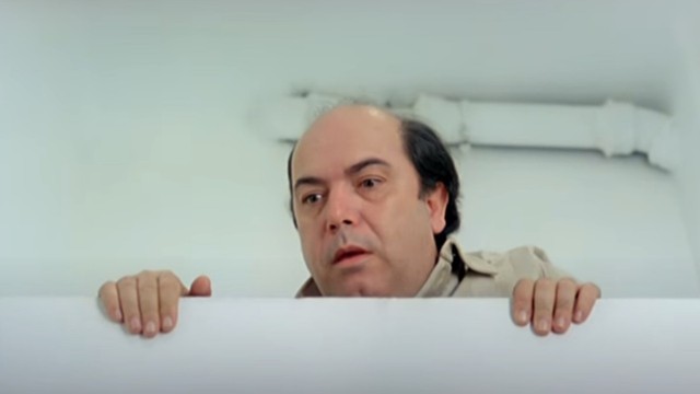 Vieni avanti cretino
