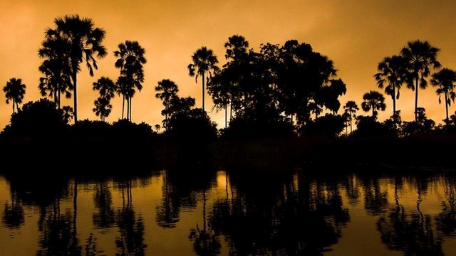 Il miracolo della pioggia: Okavango