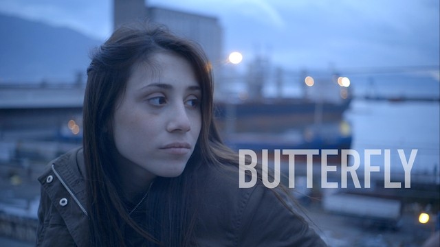 Butterfly