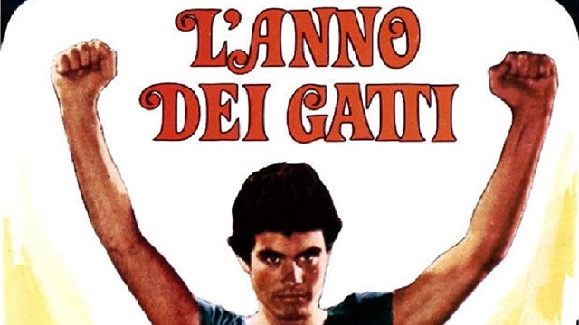 I ragazzi della discoteca - L'anno dei gatti