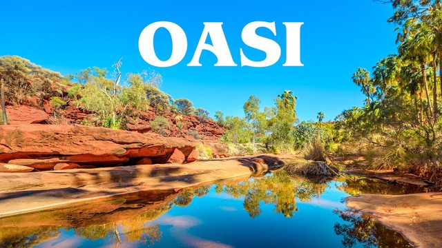 Oasi