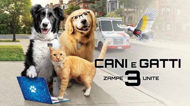 Cani e gatti 3: zampe unite