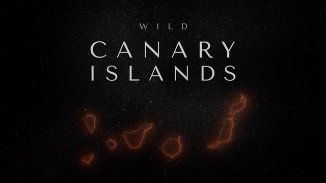 Wild Canary Islands