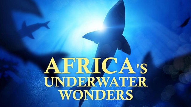 Africa's Underwater Wonders