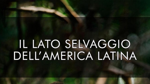 Il lato selvaggio dell'America Latina