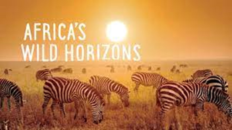 Africa's Wild Horizon