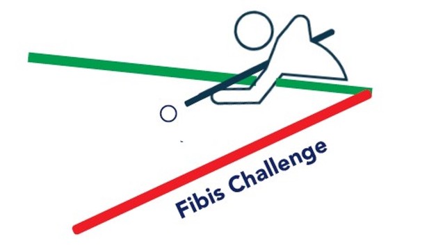 Biliardo, Stecca - Fibis Challenge: 3a Prova