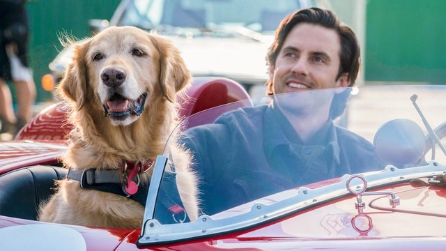 Attraverso i miei occhi