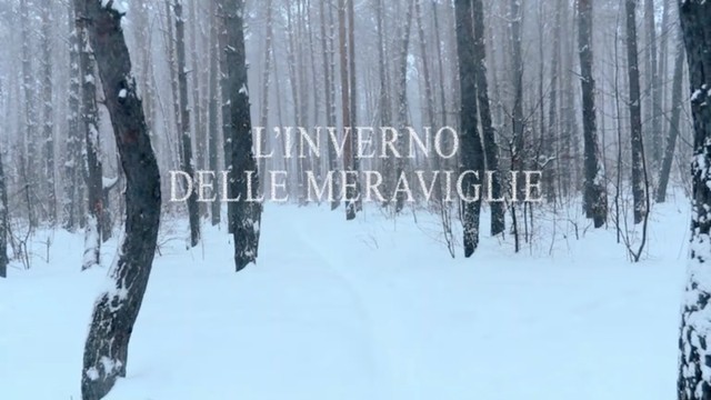 L'inverno delle meraviglie