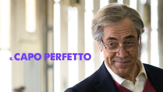 Il capo perfetto