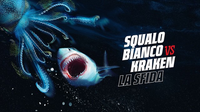 Squalo bianco vs. Kraken: la sfida