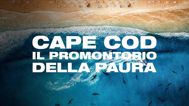 Cape Cod, il promontorio della paura