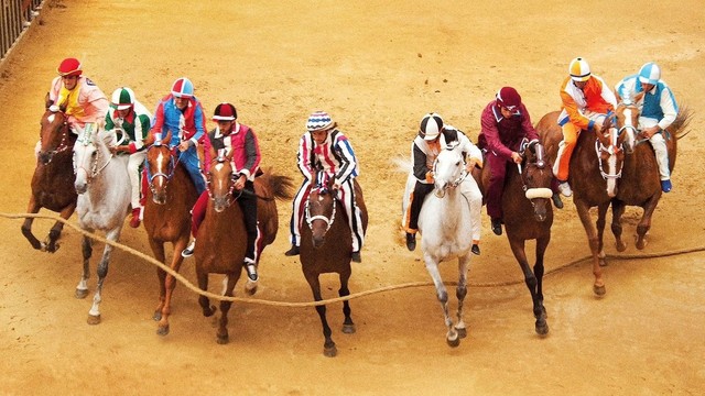 The Palio