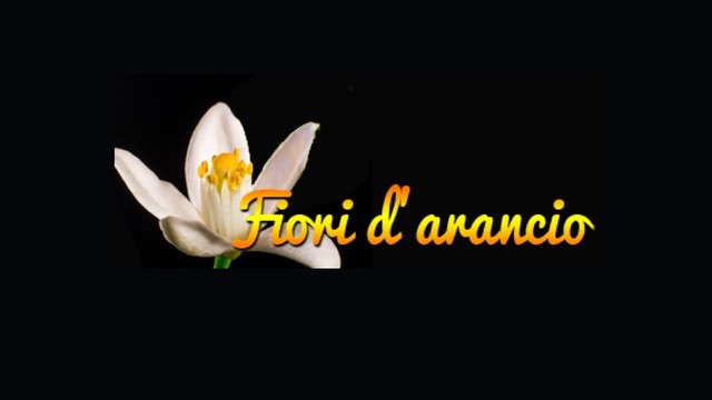Fiori d'arancio