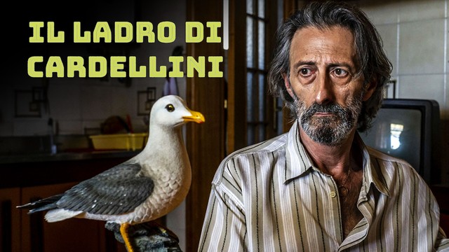 Il ladro di cardellini
