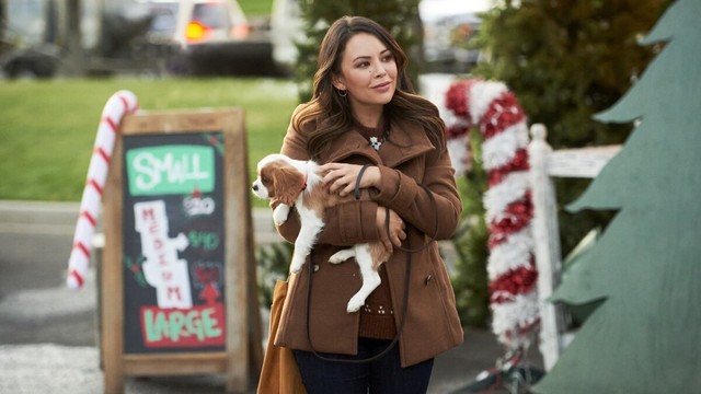 Una promessa per Natale