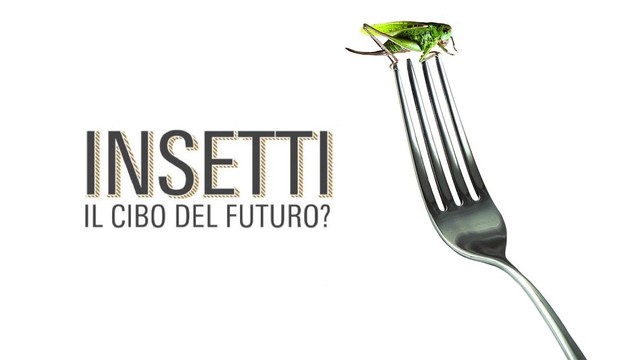 Insetti - Il cibo del futuro?