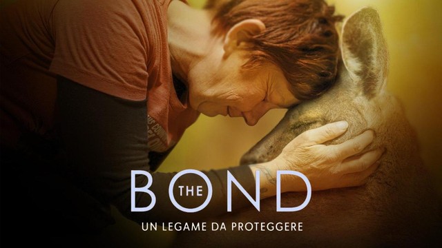 The bond - Un legame da proteggere
