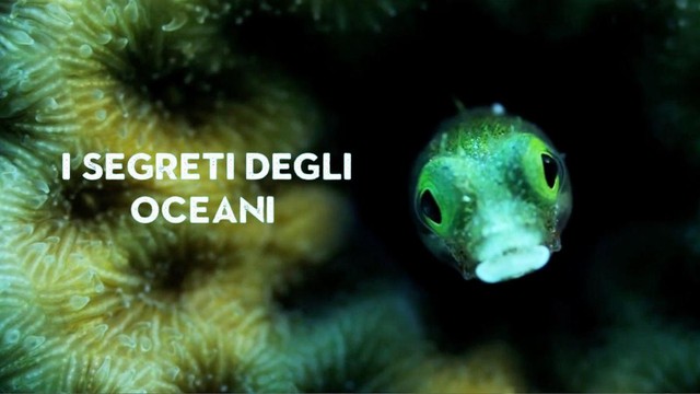 I segreti degli oceani