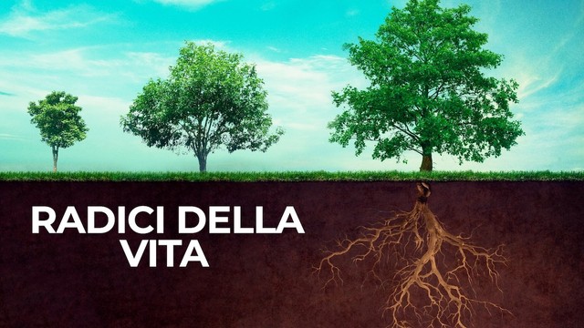 Radici della vita